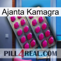 Ajanta Kamagra 10